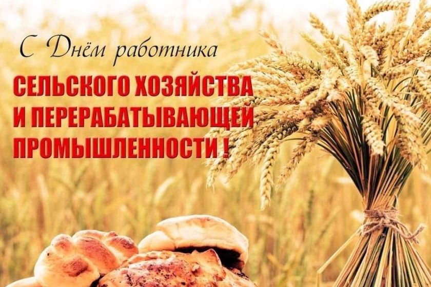 8 октября – День работника сельского хозяйства и перерабатывающей промышленности.