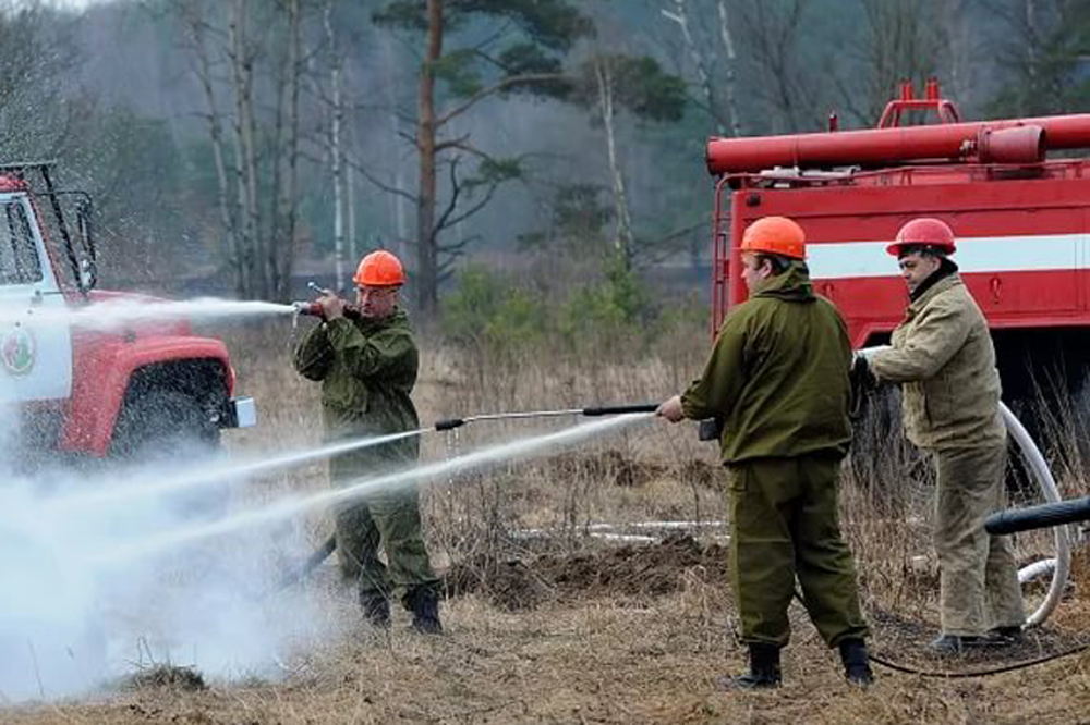 Формируется перечень лиц желающих принять добровольное участие в тушении возможных лесных пожаров в пожароопасный период 2024 года.