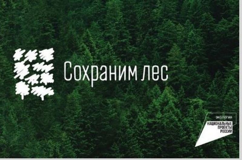 На территории Республики Коми проходит всероссийская экологическая акция «Сохраним лес».