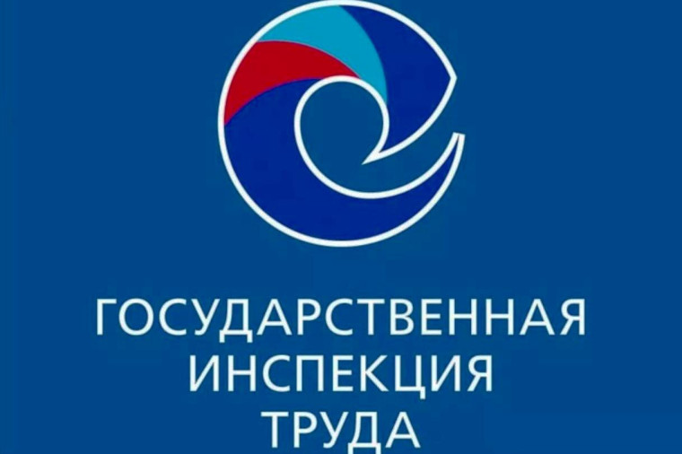 логотип государственной инспекции труда.