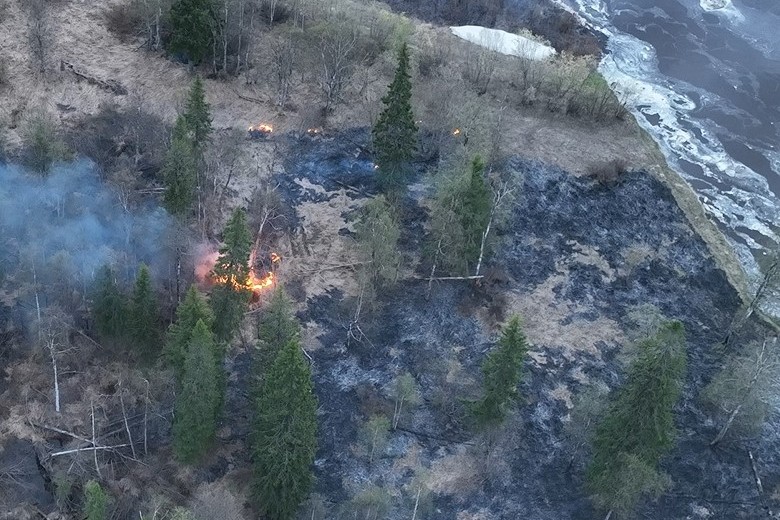 Недалеко от Усинска зафиксированы очаги лесных пожаров.