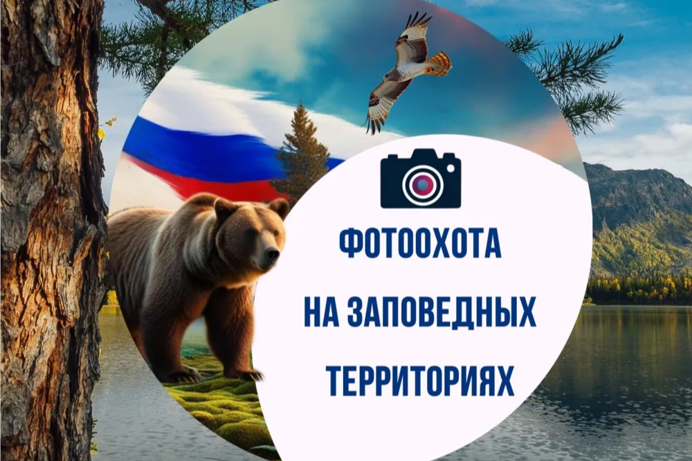 медведь.