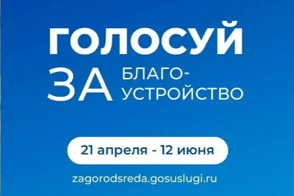 афиша голосуй за благоустройство.