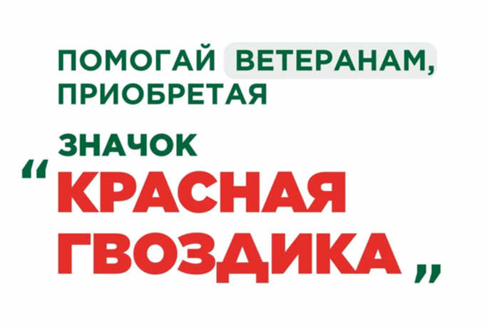 «Красная гвоздика» в Коми: символ реальной помощи.