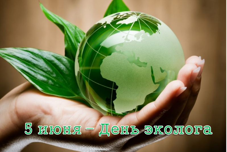 5 июня – День эколога.