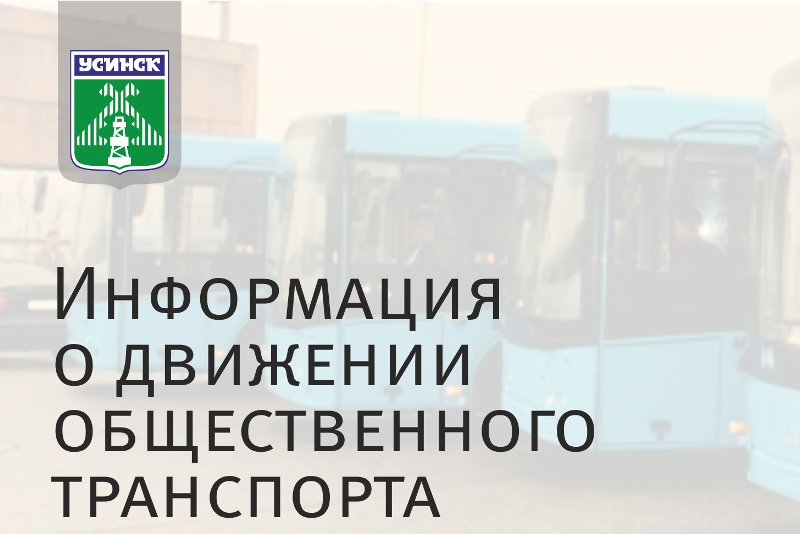 автобусы.